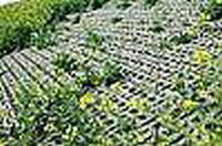 Chain Of Slope Protection Mould 02