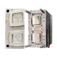 Commodity Mould 2 Cavity Freshing Container Mould