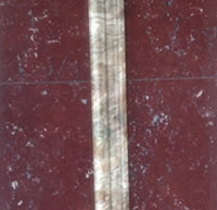 Rear Door Window Trim Strip 02