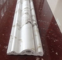 Rear Door Window Trim Strip 11