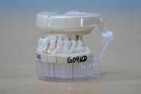Plastic Injection Products, Denture Articulator Full Mouth