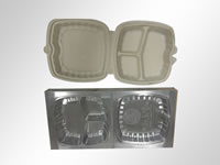 Food Blister Mold 02