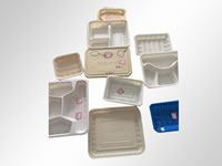 Food Blister Mold 04