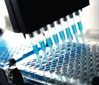 Medical Lab Test Tubes