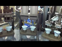 Packaging Factory Automation